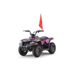 Mars-E 36V 500W ATV Electric ATV Off Road Kids ATV, Kids Quad, Kids 4 Wheelers (Pink)