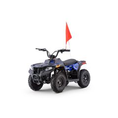 Mars-E 36V 500W ATV Electric ATV Off Road Kids ATV, Kids Quad, Kids 4 Wheelers (Blue)
