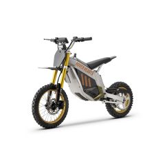 2000W Electric Dirt Bike, 48V 14" Wheel Electric Balance Bike for Ages 13+ (Gold)