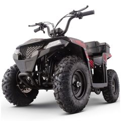 XW-A19 40cc Kids Off-Road Gas ATV – Mini Quad for Kids (Red)