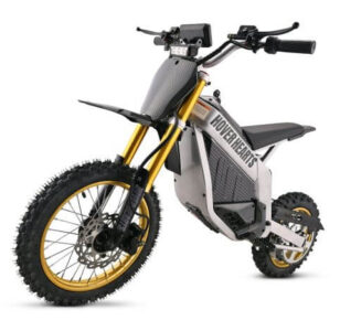 2000W Electric Dirt Bike, 48V 14" Wheel Electric Balance Bike for Ages 13+ (Black & White)